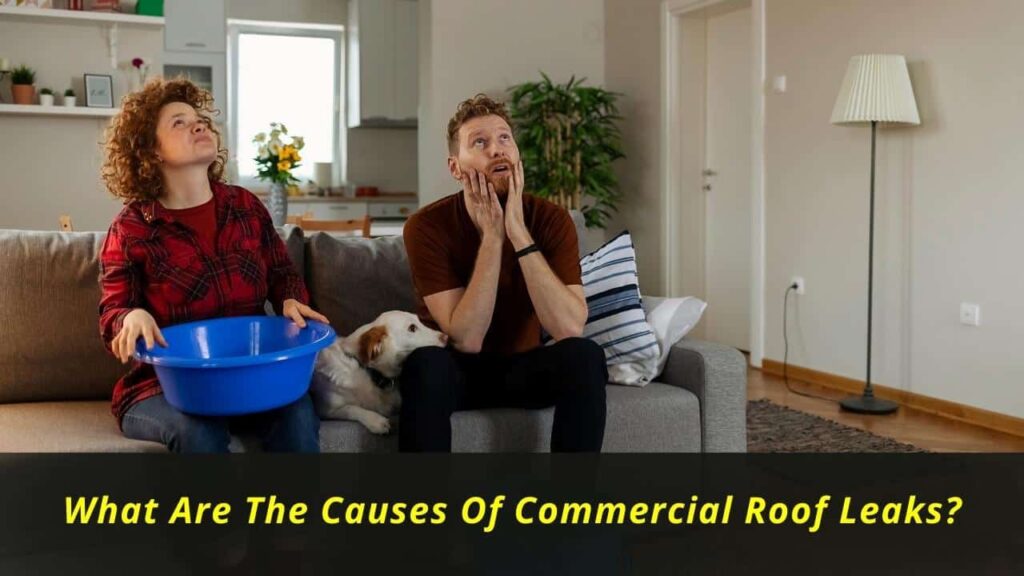 Emergency Plumbers
