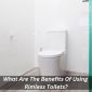 Emergency Plumbers