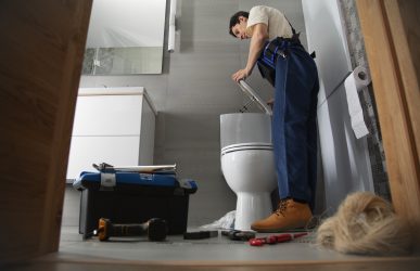 unblock a toilet bowl