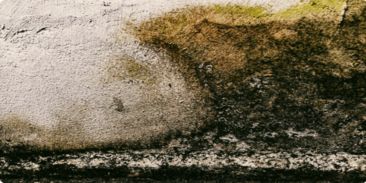 Mould growth on an interior wall caused by excess moisture, water damage, or poor ventilation.